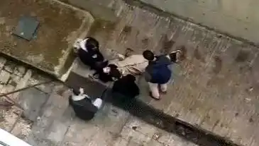 Kampüs Alanında Kaçan Köpek Panik Yaratırken, Bir Genç 4 Metreden Düştü