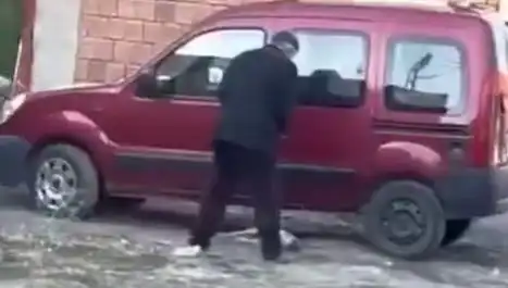 Sokak Ortasında Köpeğe Uygulanan Şiddet Olayı: Hayvanseverleri İsyana Sürükledi