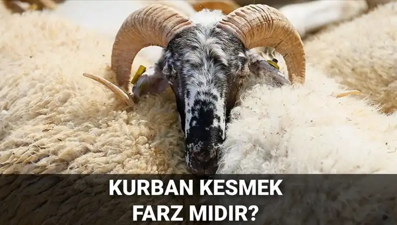 Kurban Kesmenin Hükmü: Farz mı, Sünnet mi? Diyanet Ne Diyor?