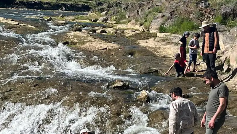 İnci Kefalinin Büyüleyici Göçü: Turistleri Kendine Çeken Doğa Olayı