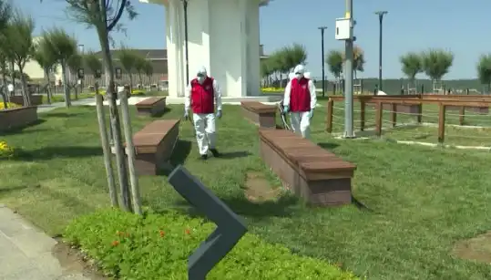 Kene Popülasyonu Artıyor: Halka Açık Alanlarda İlaçlama Önlemleri Alındı