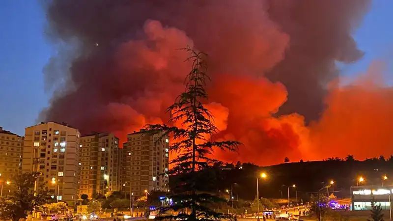 Bursa'da Yangınlar: Şehri Saran Alevlerin Ardındaki Sebepler Neler?