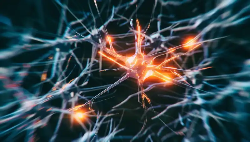 Alzheimer Vakalarının Artış Sebepleri: Neden Bu Kadar Yaygınlaşıyor?