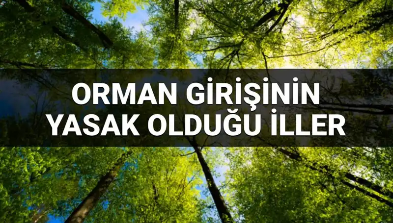 2025 Yılında Ormana Girmesi Yasaklanan İllerin Listesi Açıklandı