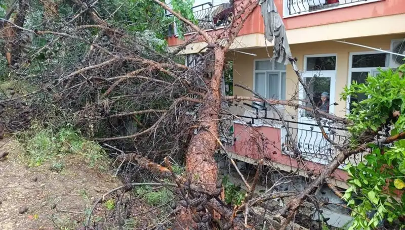 Yağmurun Gücüyle Yıkılan Bina: Sadece Dakikalar İçinde Çöktü