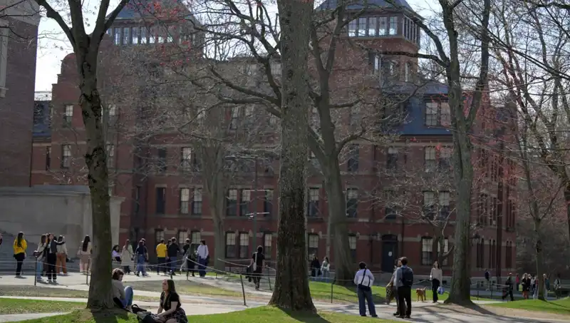 Harvard Üniversitesi, Yabancı Öğrenci Kayıt Yetkisini Kaybedebilir mi?
