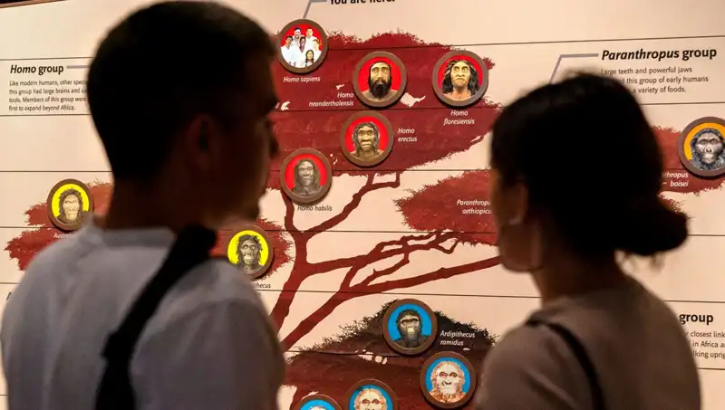Modern İnsanların 40 Bin Yıl Önce Yok Olmaktan Kurtulma Stratejileri Nelerdi?