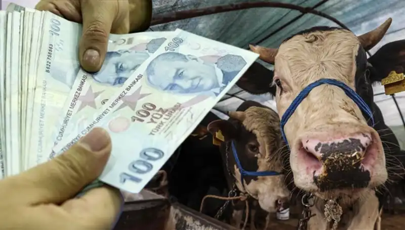 Emekli ve Memur Maaşları Bayram Öncesi Hesaplara Geçiyor mu?
