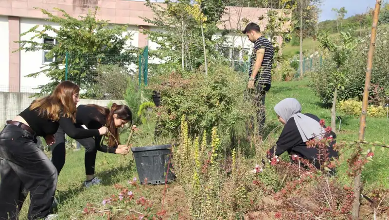 Düzce'den Dünyaya Açılan Kapı: Hayal Gerçekleşti!