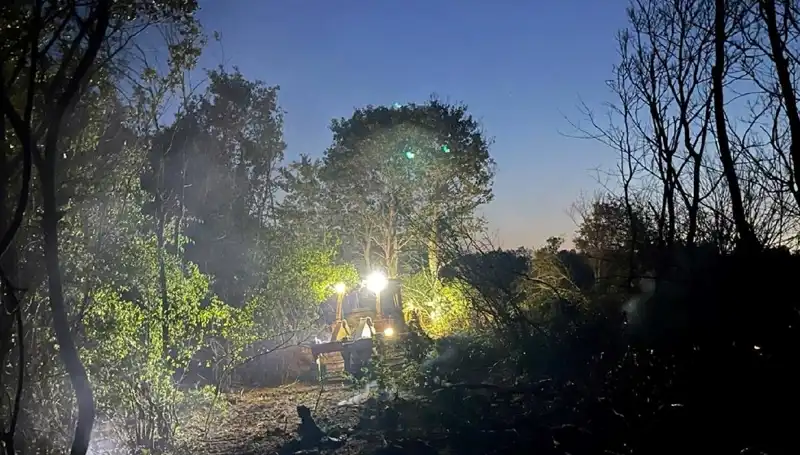 Edirne'deki Orman Yangını Söndürüldü: Ekipler Mücadele Ettikleri Alevleri Kontrol Altına Aldı