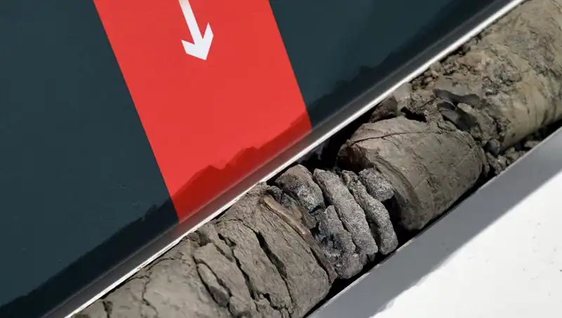 Dinozor Fosilleri Müze Otoparkında Bulundu: Tarih Yeniden Yazılıyor!