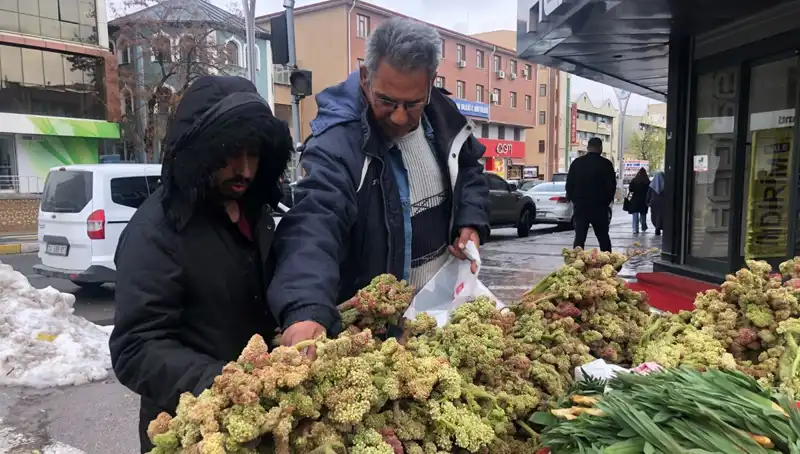 Kanserle Mücadelede Umut Veren Vitamin Deposu: Kendiliğinden Yetişen Bir Bitki