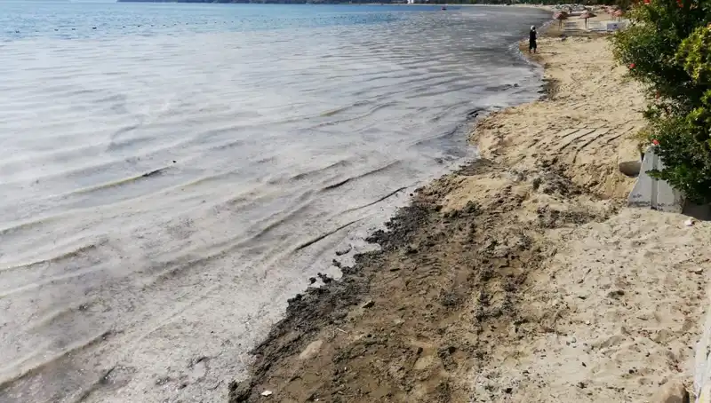 Müsilajla Mücadelede Şok Gelişme: 268 İşletmenin Faaliyeti Durduruldu!