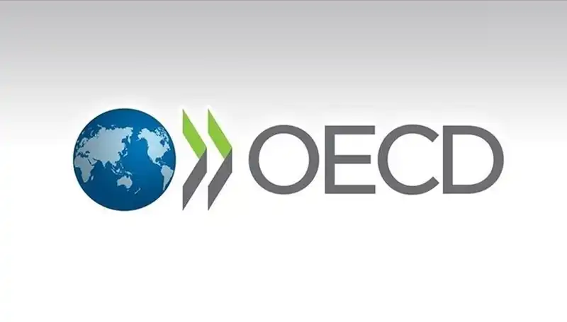 OECD, Türkiye Ekonomisi İçin Büyüme Tahminini Güncelledi: Umut Verici Veriler!