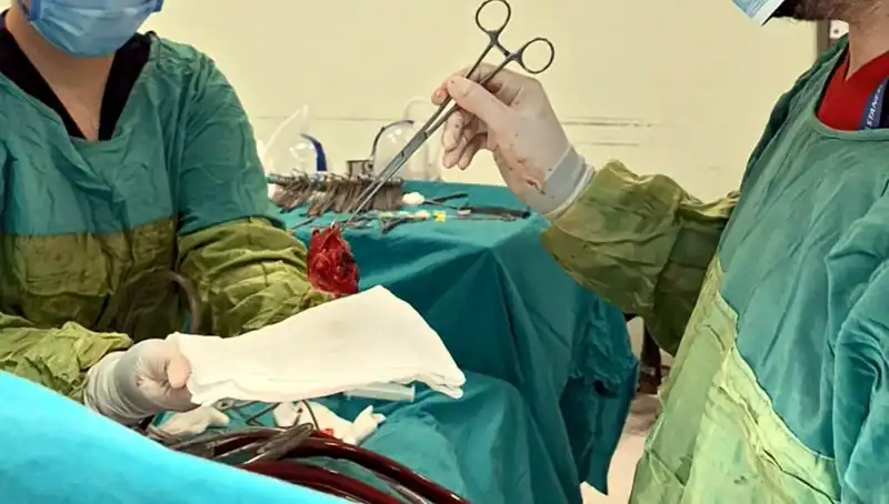 Kalp Kapağı ÇÜRÜMÜŞ: 7 Saat Süren Zorlu Ameliyatın Ardından Gelen Mucize