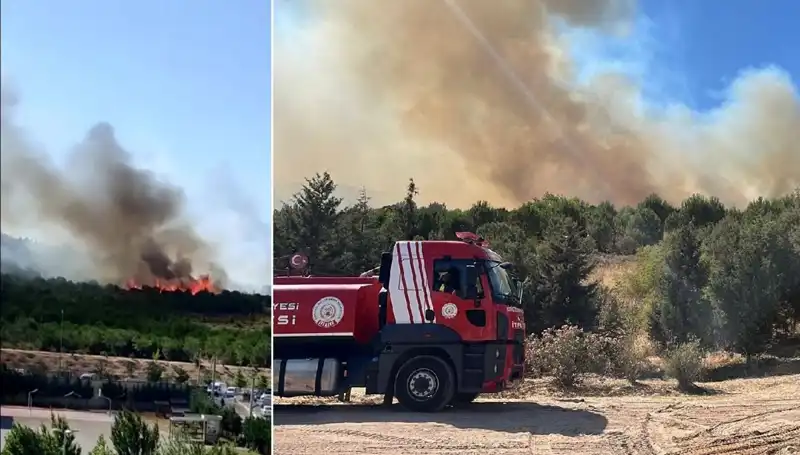 Gebze'de Patlak Veren Orman Yangınına Ekipler Anında Müdahale Etti