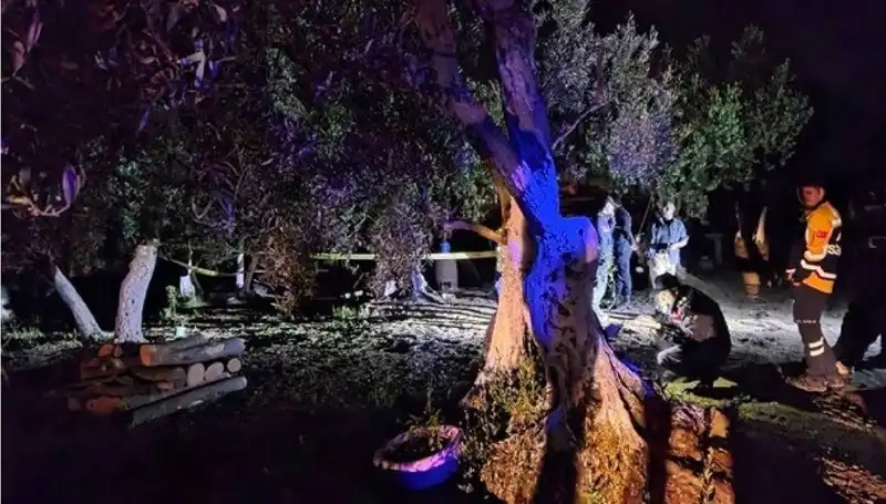 Çiftlikte Baltalı Vahşet: Suçlu Fırtınası Başladı!