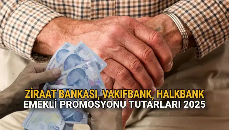 2025'te Emeklilere Kamu Bankalarından Cazip Promosyon Fırsatları