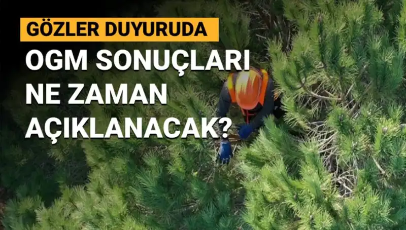 OGM Personel Alımı Sonuçları: 3 Bin 477 Kişi İçin Tarih Ne Zaman Açıklanacak?